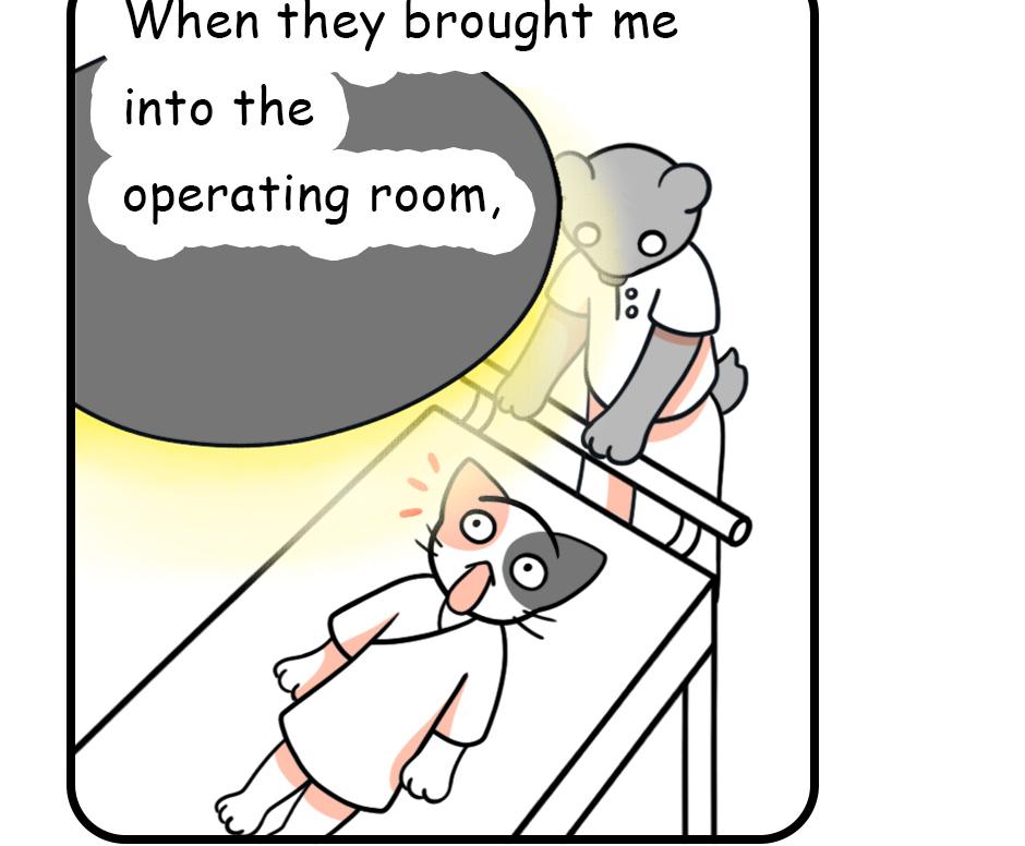 Mikesaka Art Class (◆Episodes are about art methods.) - Episode 93, Page 2: 72. My Misconception