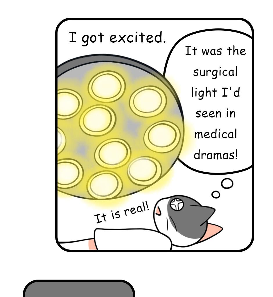 Mikesaka Art Class (◆Episodes are about art methods.) - Episode 93, Page 3: 72. My Misconception