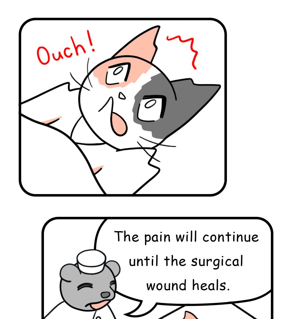 Mikesaka Art Class (◆Episodes are about art methods.) - Episode 93, Page 5: 72. My Misconception