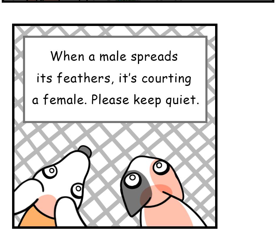 Mikesaka Art Class (◆Episodes are about art methods.) - Episode 136, Page 5: 107. Resting Feathers(2/3)