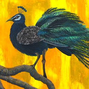 Mikesaka Art Class (◆Episodes are about art methods.) - Episode 137:  107. Resting Feathers(3/3)