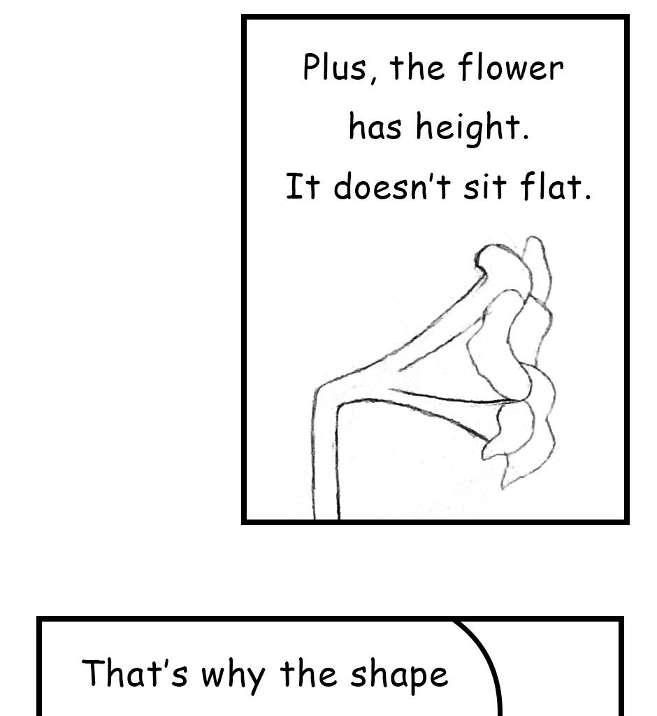 Mikesaka Art Class (◆Episodes are about art methods.) - Episode 141, Page 4: 110. ◆Sketching a Lily