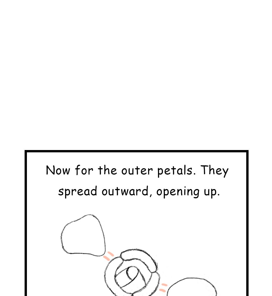 Mikesaka Art Class (◆Episodes are about art methods.) - Episode 145, Page 4: 112. ◆Sketching a Rose