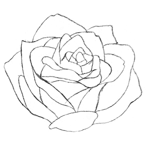 Mikesaka Art Class (◆Episodes are about art methods.) - Episode 145: 112. ◆Sketching a Rose