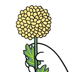 Mikesaka Art Class (◆Episodes are about art methods.) - Episode 147: 114. ◆Sketching a Chrysanthemum