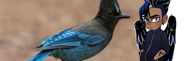 People of Icarus - Episode 121, Page 8: Afterwards and QNA