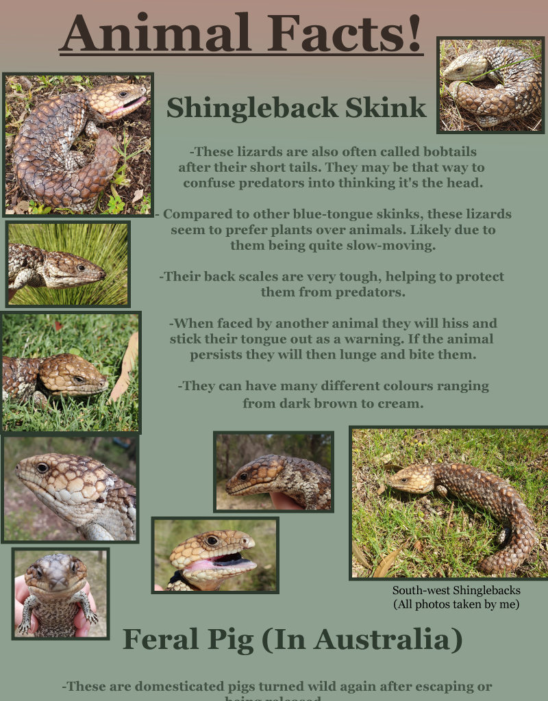 Unearthed Enmity - Episode 5, Page 24: Ch 5: Culling