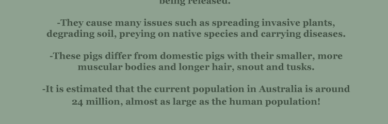 Unearthed Enmity - Episode 5, Page 24: Ch 5: Culling