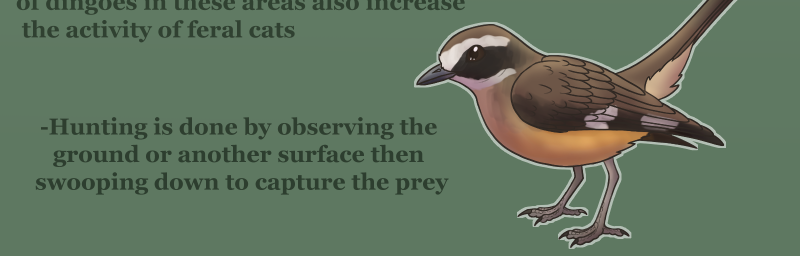 Unearthed Enmity - Episode 6, Page 14: Ch 6: Rumours