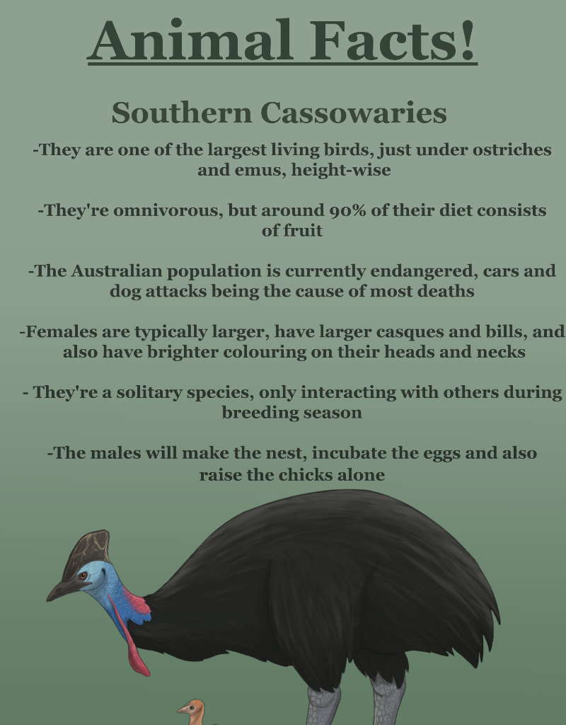 Unearthed Enmity - Episode 7, Page 11: Ch 7: The Cassowary