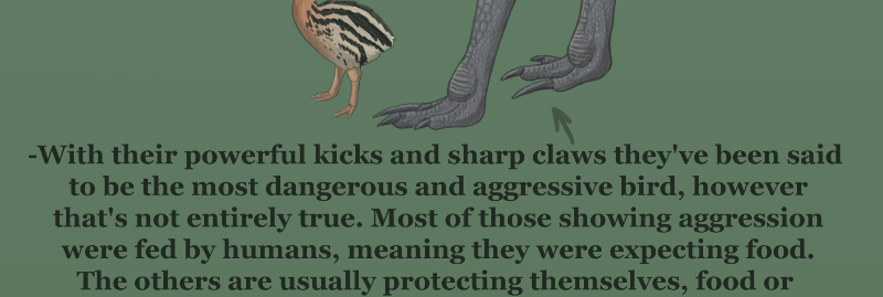 Unearthed Enmity - Episode 7, Page 11: Ch 7: The Cassowary