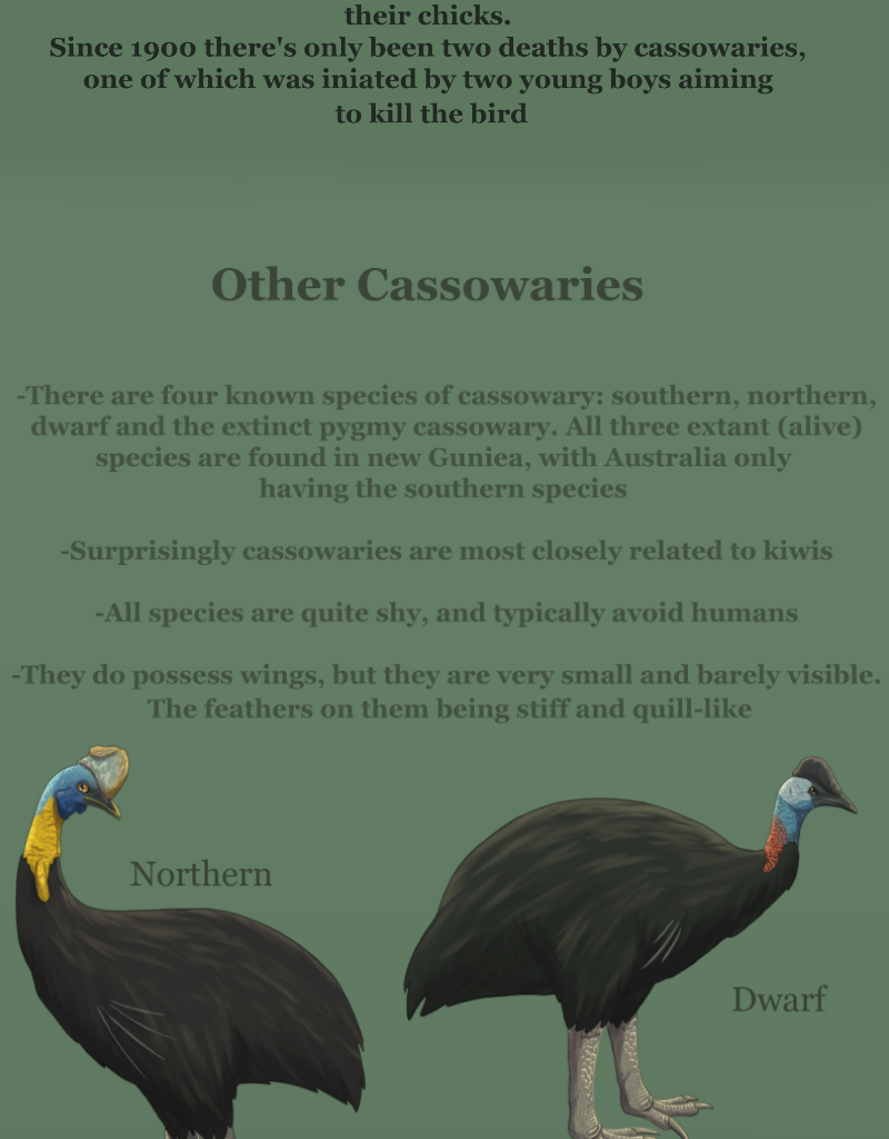 Unearthed Enmity - Episode 7, Page 12: Ch 7: The Cassowary