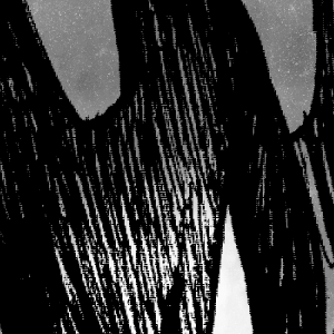 Corvid Kid - Episode 50: ch2pg23