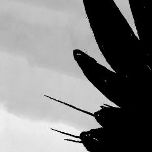 Corvid Kid - Episode 66: CK3_The-Visit_pg12