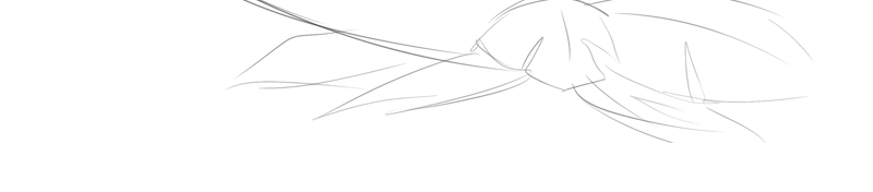 Isla Aukate - Episode 219, Page 1: 8-Sliced00004