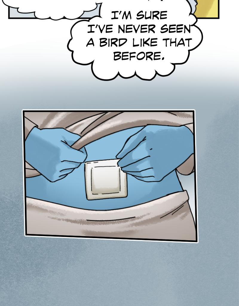 Night Drop - Episode 5, Page 2: Ep 005 Late