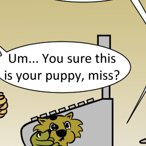 Java Jaguar - Episode 120: Java 120