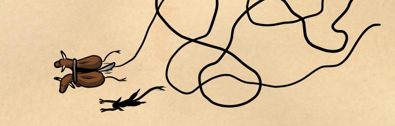 Mythic Mayhem - Episode 2, Page 10: The Tale Of Pwca