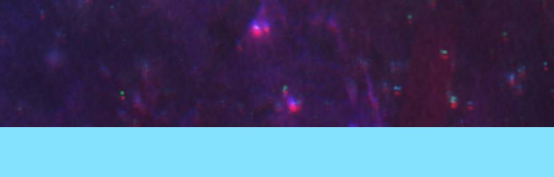 Mythic Mayhem - Episode 65, Page 7: Dragon Mayhem Collab