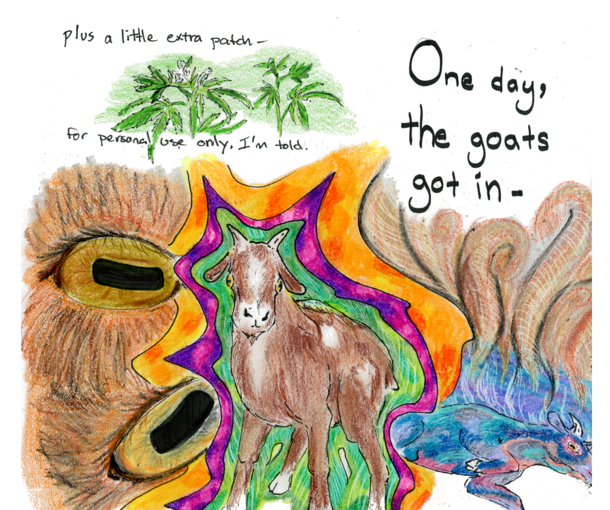 Family Lore - Episode 1, Page 2: Uncle Ted's Goats