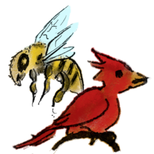 Science of Desire Zine - Adult Comic Series