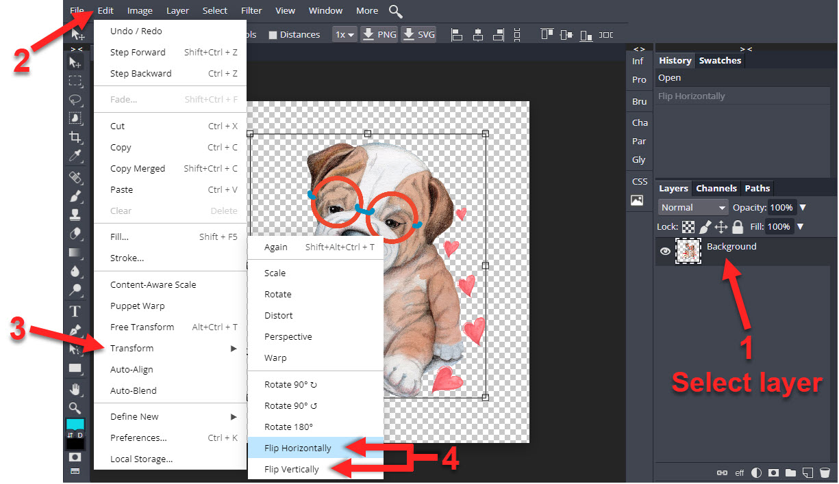 How to Mirror an Image in DesignScape 4