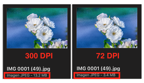 How to Resize an Image in Affinity Photo 14