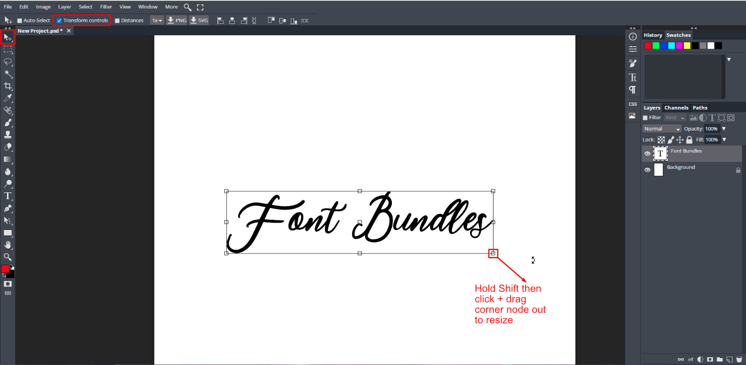 Text Basics in DesignScape 21