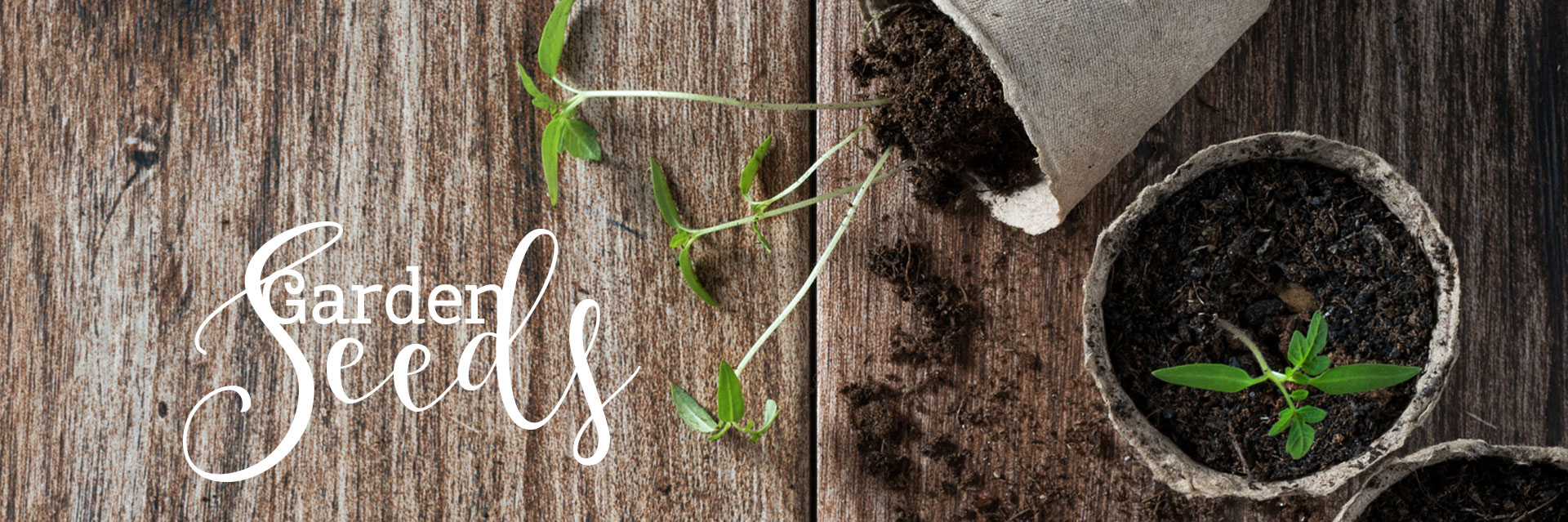 Nursery In Blair Nebraska Blair Garden Ctr & Greenhouse