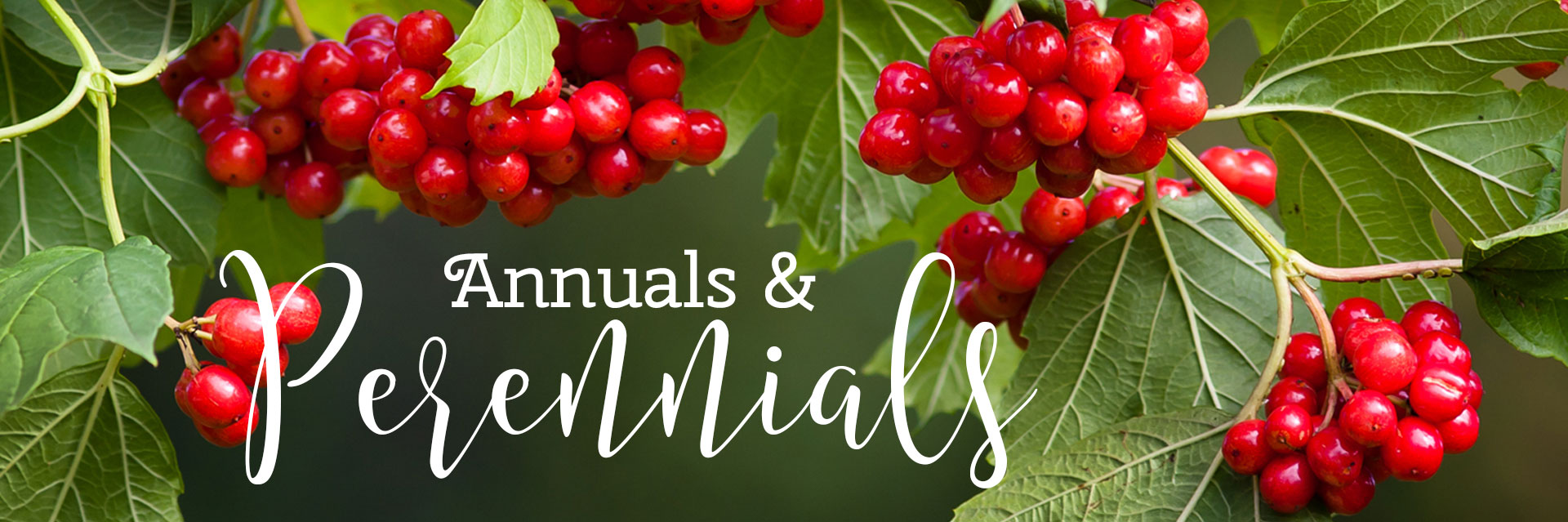 Nursery In Blair Nebraska Blair Garden Ctr & Greenhouse