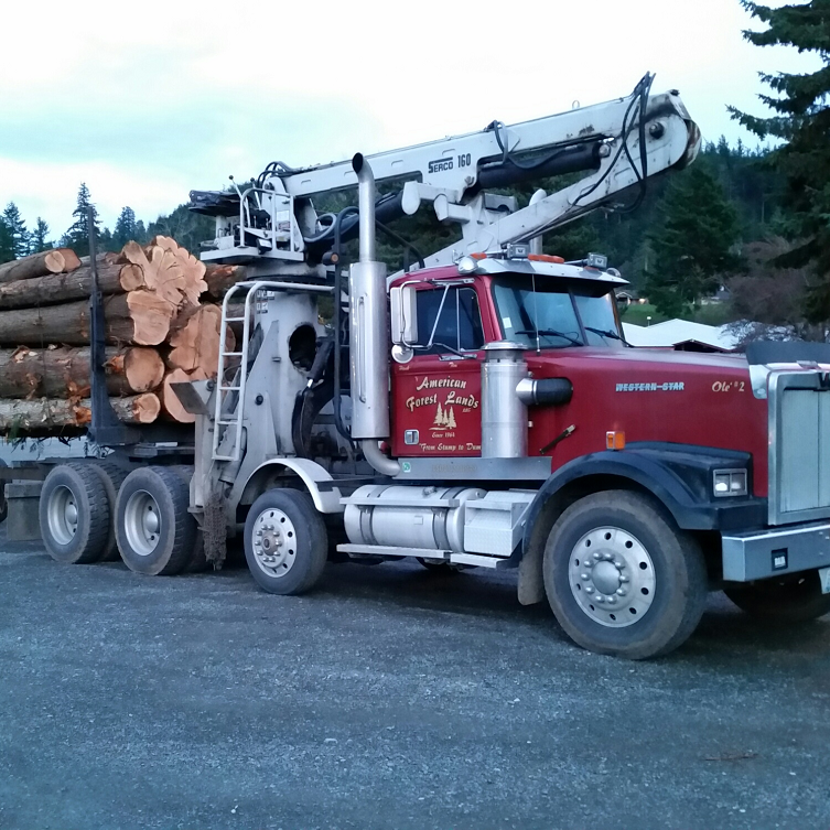 American Forest Lands Washington Logging Company LLC Information
