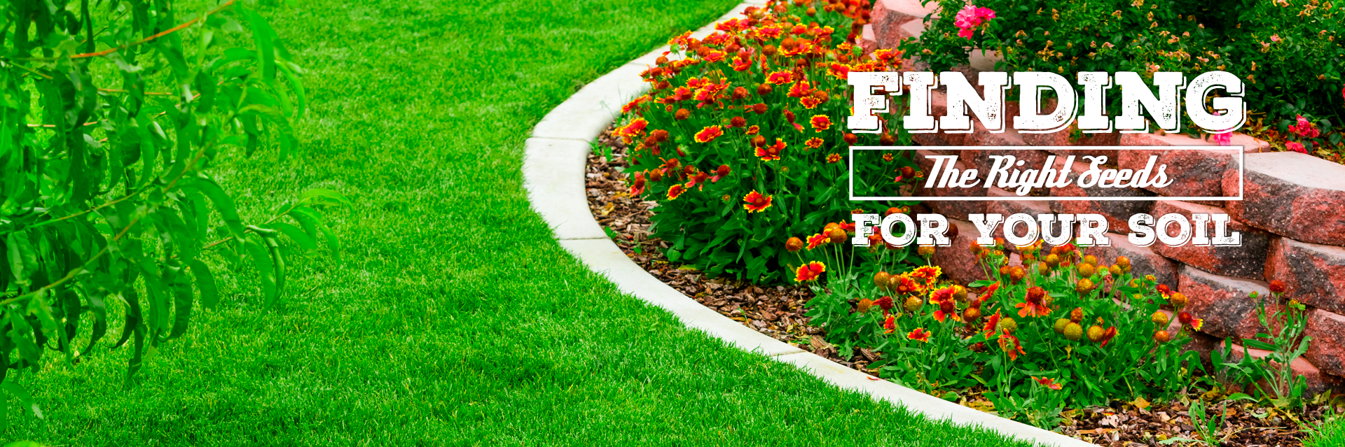 Grass Seed Sales Alfalfa Seed For Sale Utah Seed In Tremonton Utah