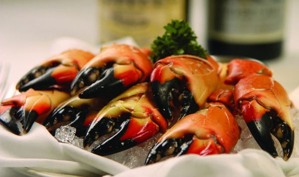 Fresh Shellfish For Sale In Medford NJ  Medford Seafood 