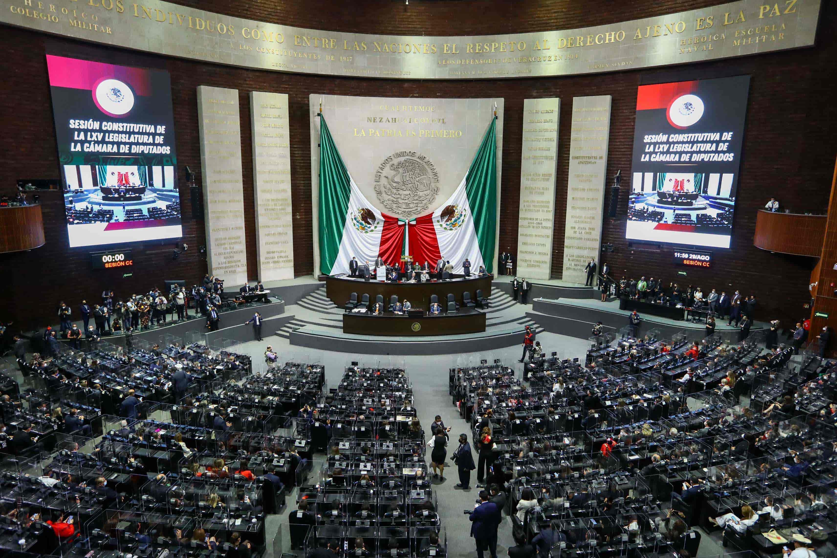 Diputadas trans proponen prohibir ECOSIG en todo el país 🏳️‍⚧️ ⚖️ 🏳️‍🌈