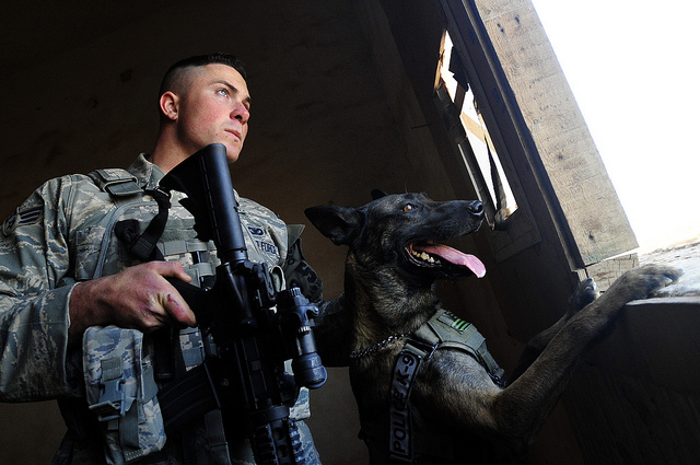 Senior Airman Stephen Hanks, 447th Expeditionary Security Forces Squadron military working dog handler, and Geri, 447th ESFS patrol and explosive detector dog, look through a window while securing an abandoned building on a routine patrol on Sather Air Base in Baghdad, Iraq, Dec. 11, 2011. For the last six months Geri and Hanks, have been supporting Operation New Dawn by providing explosive and psychological deterrence. Hanks and Geri are deployed from Patrick Air Force Base, Fla. Hanks is from Amherst, Mass. (U.S. Air Force photo by Master Sgt. Cecilio Ricardo) 2012_08_Air-Force-5