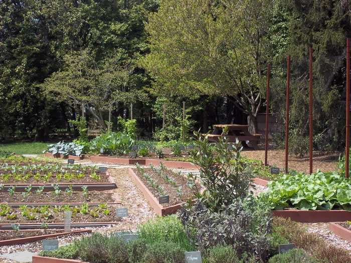 2013_04_WHGarden