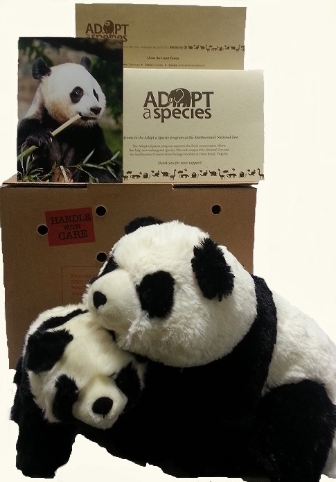 2013_12_pandaadopt