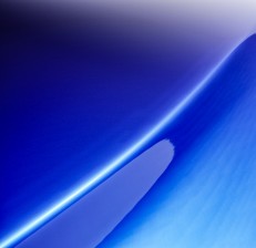 High Gloss Blue Raspberry