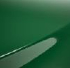 High Gloss Mantis Green