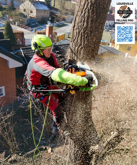 Tree Service in Okolona -Louisville Felling Pro