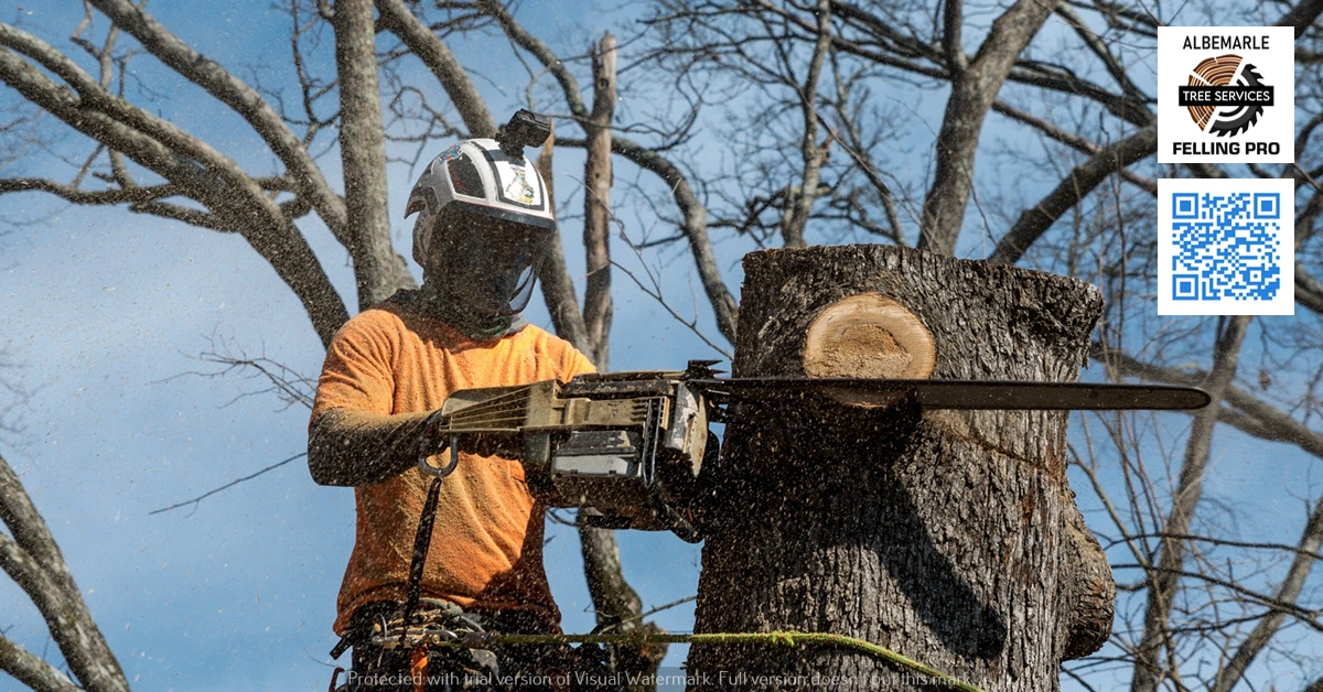 Tree Felling Service Albemarle Felling Pro - Tree service - Albemarle County, Virginia