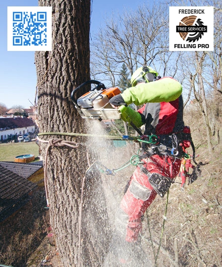 Tree Service in Clear Brook - Frederick Felling Pro