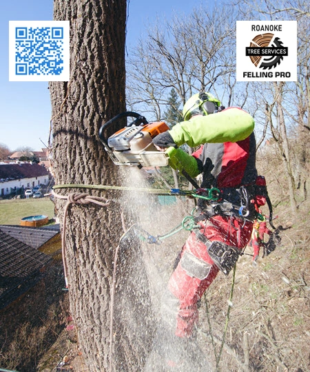 Tree Service in Cloverdale - Roanoke Felling Pro