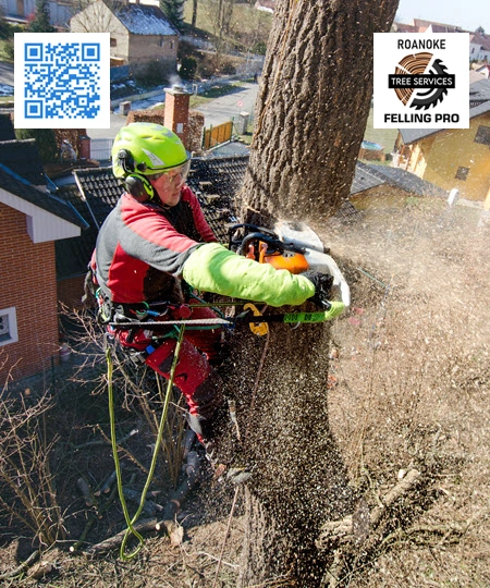 Tree Service in Salem - Roanoke Felling Pro