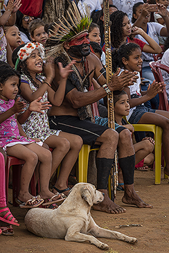 Filmes - Festival do Rio