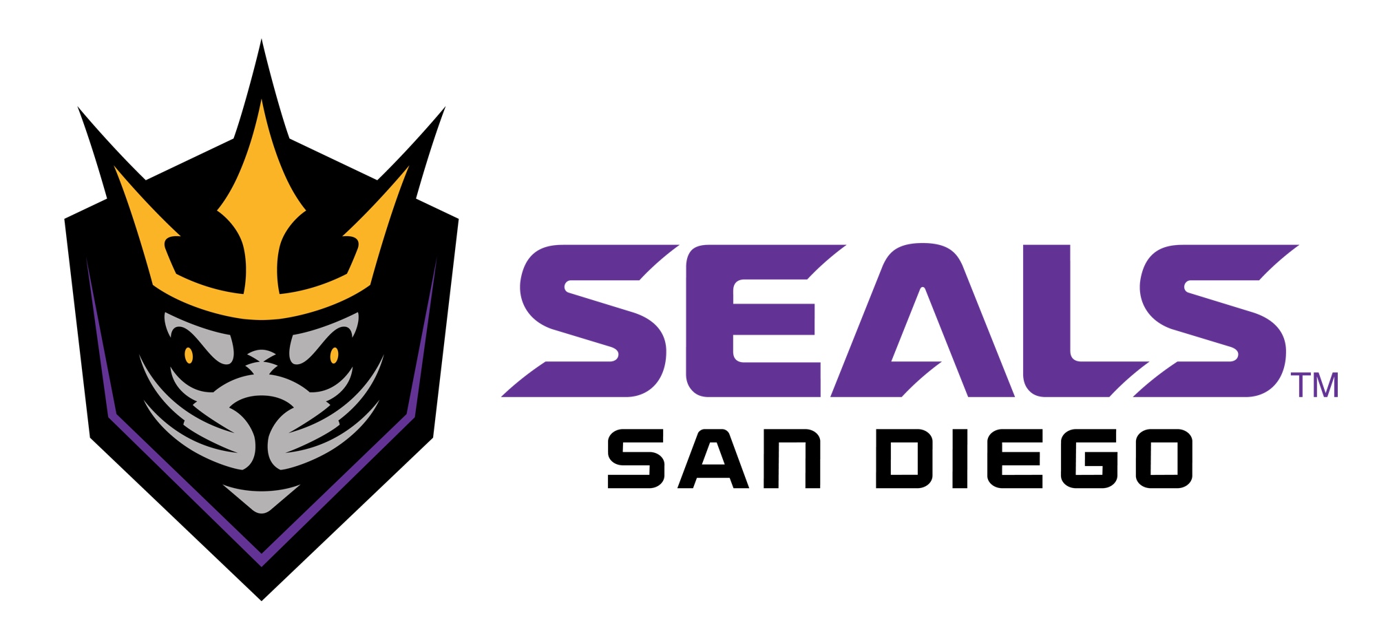 San Diego Seals vs. Saskatchewan Rush Top Corner Indoor Lacrosse