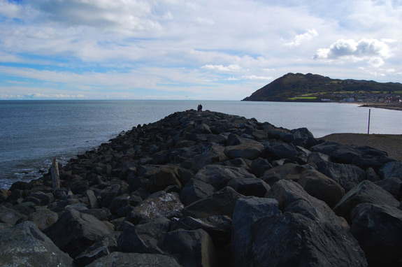 Bray