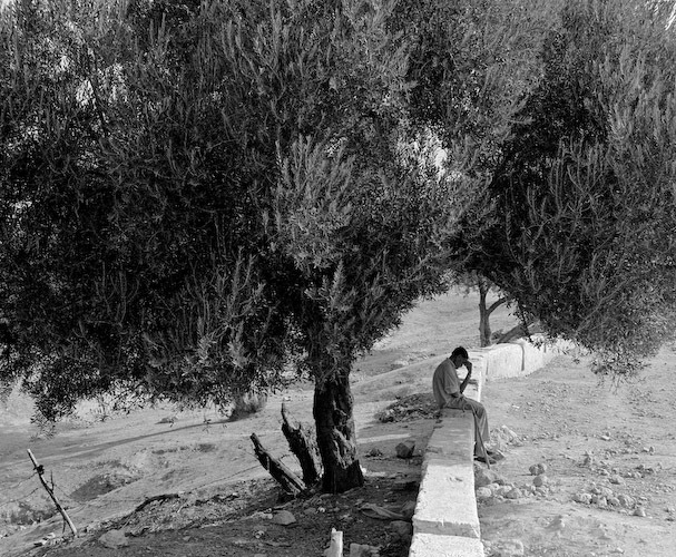 020-504scan-071213-0007-jpg