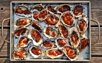 fish_010-jpg