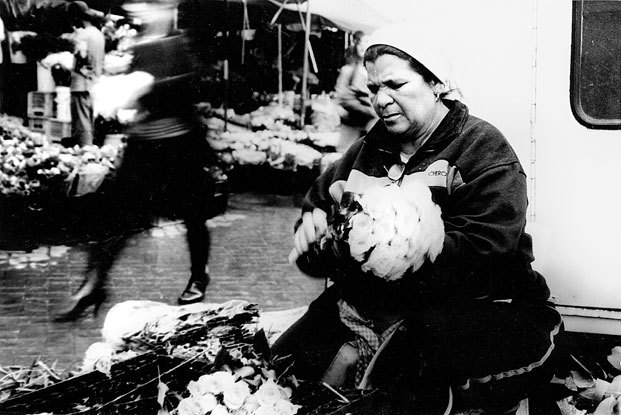 cape-town-flower-seller-1-jpg